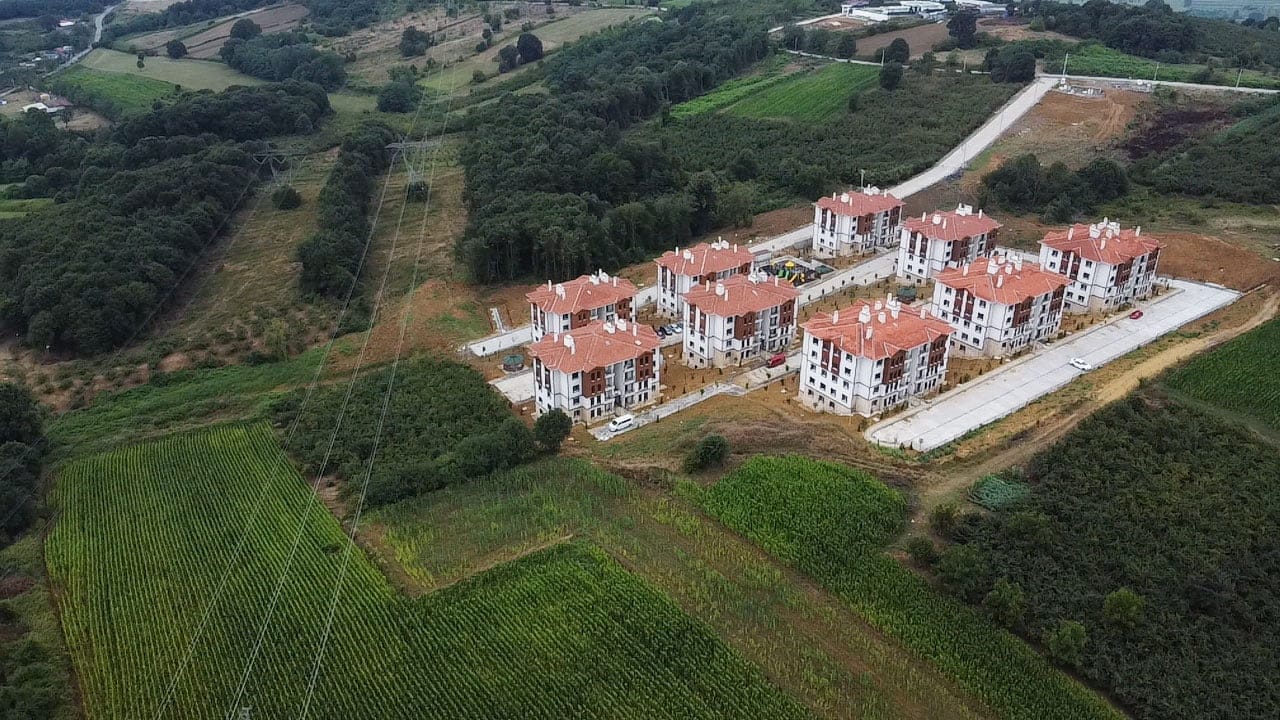 Sakarya Alandüzü - Toki